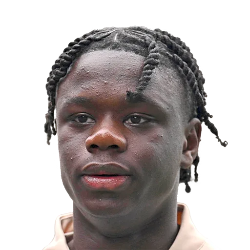 Mahamadou Susoho