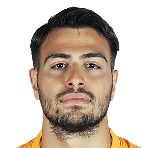Ali Yavuz Kol